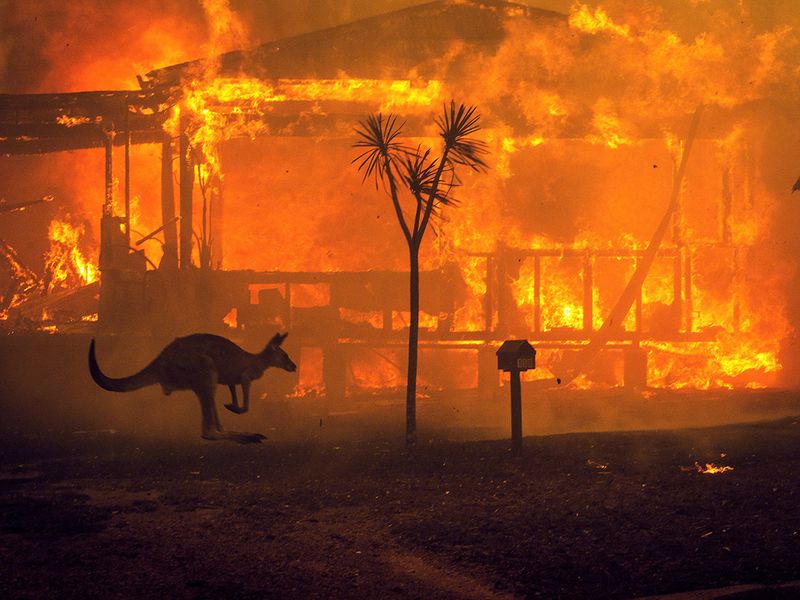 کمک‌های مالی افراد مشهور برای مهار آتش سوزی‌های استرالیا!